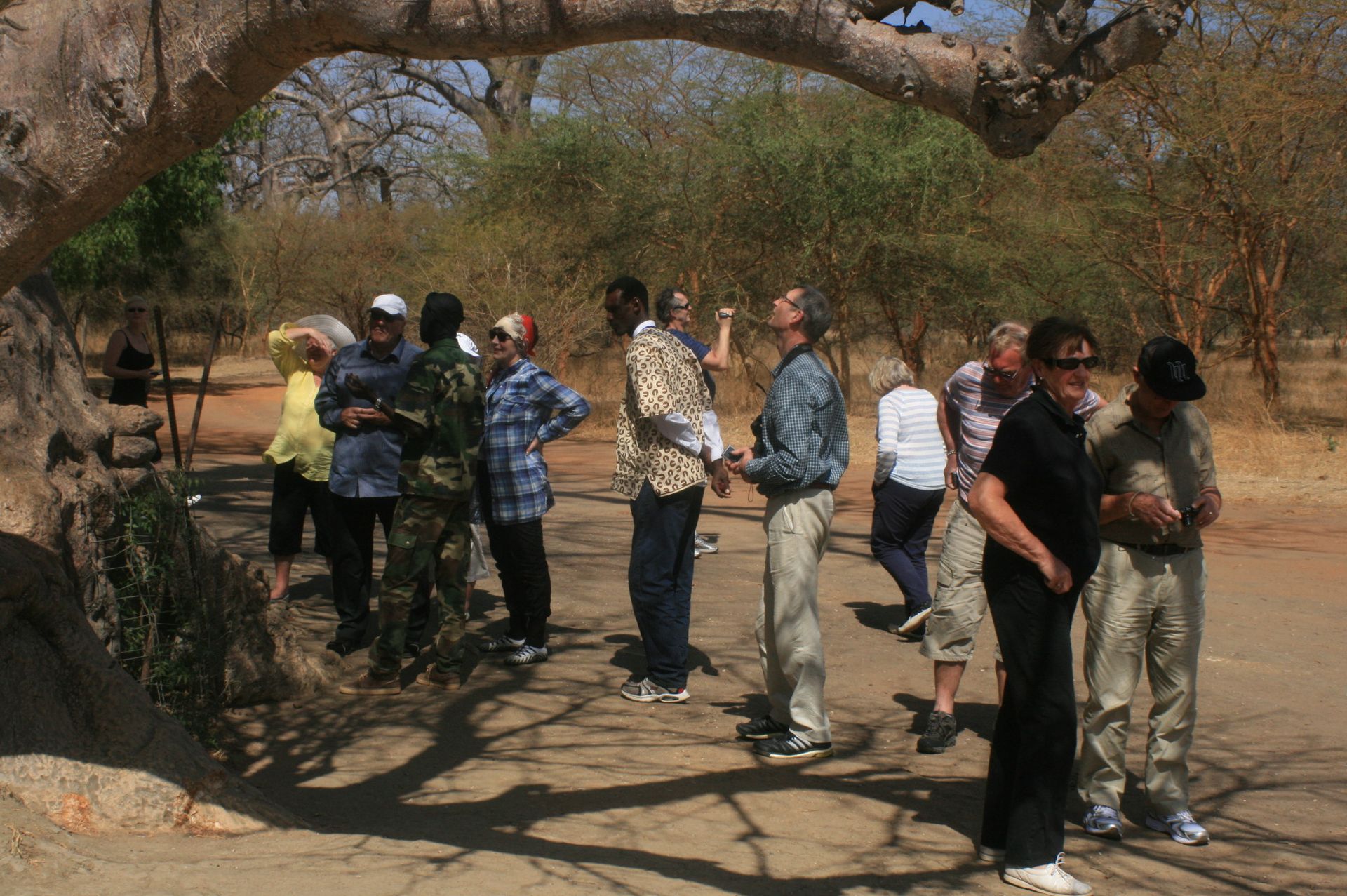 africa connection tours senegal